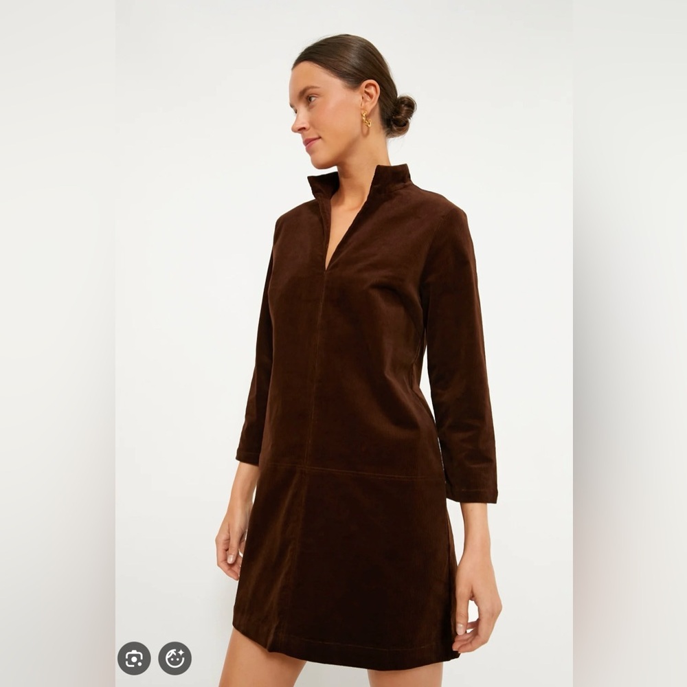 Elegant Tuckernuck Brown Corduroy Clifton Dress